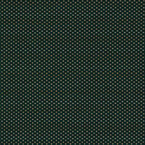 Clarke & Clarke Equinox 2 Fabrics Pavo Fabric - Forest - F1620/02