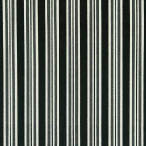 Clarke & Clarke Whitworth Fabrics Wilmott Fabric - Ebony - F1691/03