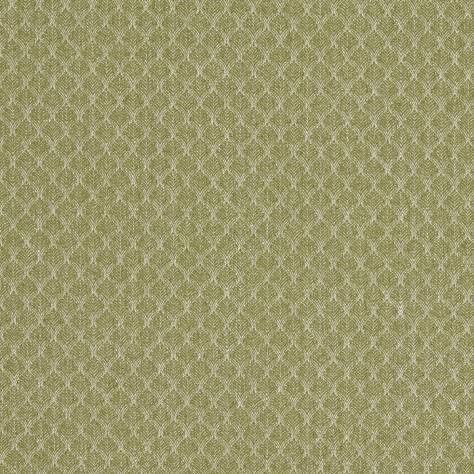 Clarke & Clarke Evora Fabrics Trelica Fabric - Olive - F1724/04