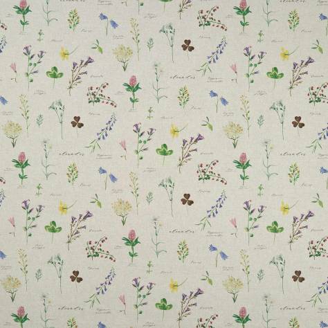 Studio G Country Garden Fabrics Nerium Fabric - Linen - F1167/01 - Image 1