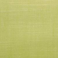 Rimpton Plain Fabric - Apple