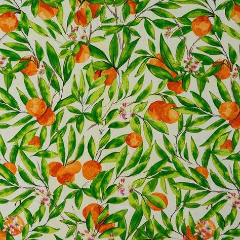 Porter & Stone Glasshouse Fabrics Seville Fabric - Orange - seville-orange - Image 1