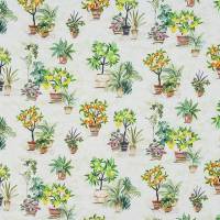 Gardenia Fabric - Citrus