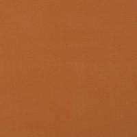 Carrera Fabric - Burnt Orange