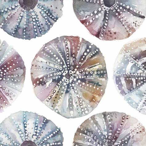 Voyage Maison Riviera Fabrics Sea Urchins Fabric - Abalone - SEAURCHINSABALONE - Image 1