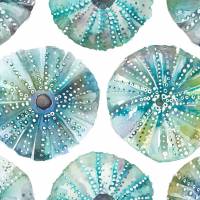 Sea Urchins Fabric - Kelpie