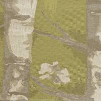 Windermere Fabric - Coriander
