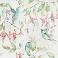 Fuchsia Flight Fabric - Cream