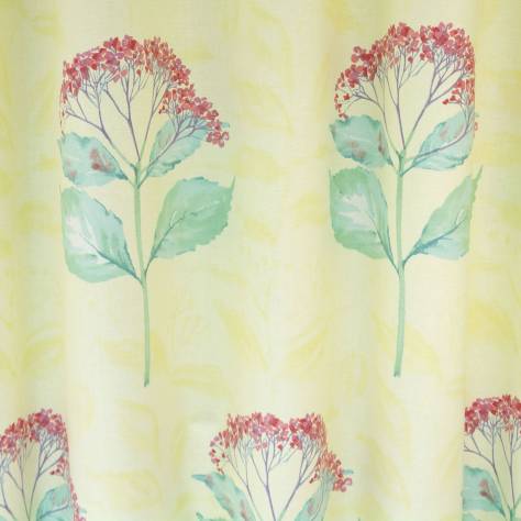 OUTLET SALES All Fabric Categories Anastasia Fabric - Lemon Rose - ANA001