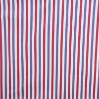 Hertford Stripe - Red / Blue Fabric