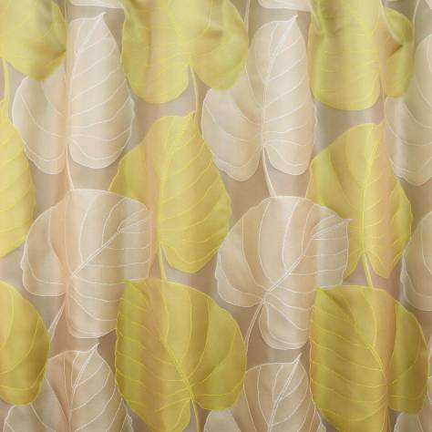 OUTLET SALES All Fabric Categories Lucca Fabric - Gold - LAC001 - Image 2