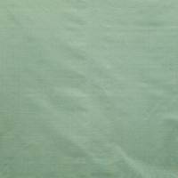 SNR Plain - Mint Fabric