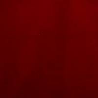 Plush Velvet Fabric - Rouge