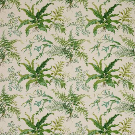 Colefax & Fowler  Classic Prints Fabrics Kendal Fabric - Leaf Green - F3217/01 - Image 1