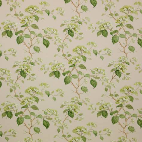 Colefax & Fowler  Classic Prints Fabrics Summerby Fabric - Leaf Green - F3829/01