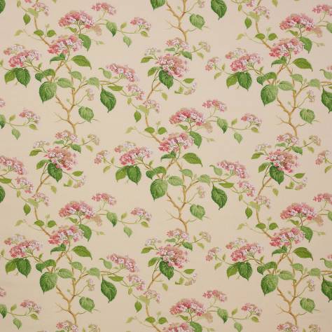 Colefax & Fowler  Classic Prints Fabrics Summerby Fabric - Pink - F3829/02 - Image 1