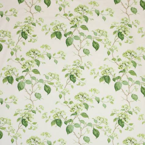 Colefax & Fowler  Classic Prints II Summerby Cotton Fabric - Leaf Green - F4405/03