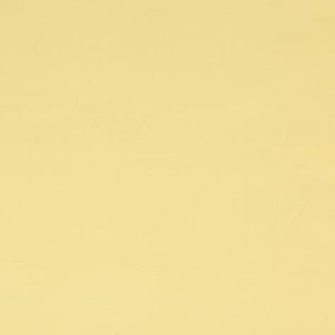 Colefax & Fowler  Lucerne Silks Lucerne Fabric - Yellow - F3931-03 - Image 1