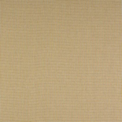 Colefax & Fowler  Lamorna Fabrics Jay Check Fabric - Gold - F4762-08 - Image 1
