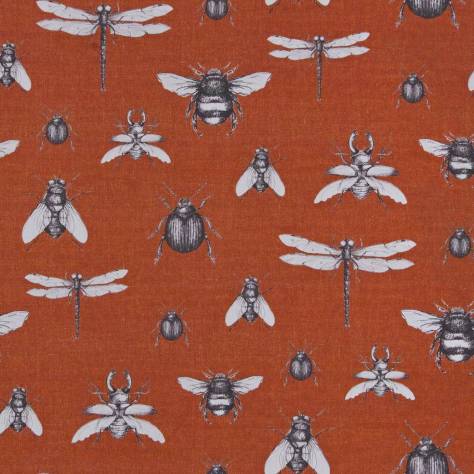 Utopia Voyage of Discovery Fabrics Entomology Fabric - Colour 3 - Entomology-col3