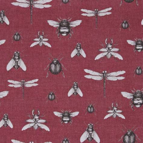 Utopia Voyage of Discovery Fabrics Entomology Fabric - Colour 4 - Entomology-col4 - Image 1