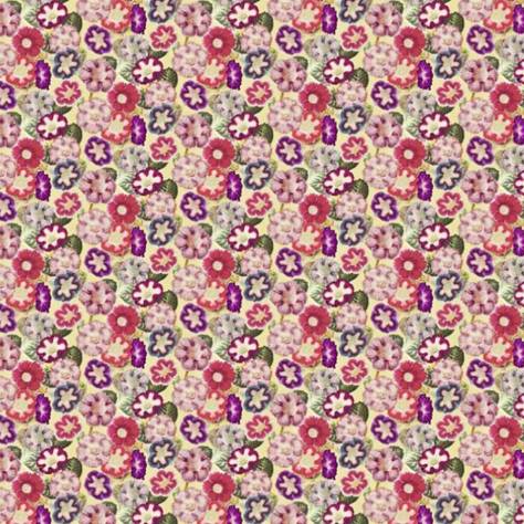 John Derian Picture Book Prints Varietes De Gloxinia Fabric - Violet - FJD6001/01