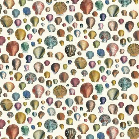 John Derian Picture Book Prints Captain Thomas Brown's Shells Fabric - Sepia - FJD6003/01
