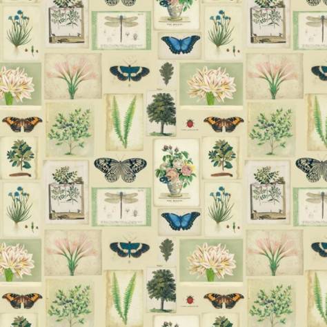 John Derian Picture Book Prints Flora and Fauna Fabric - Parchment - FJD6007/01