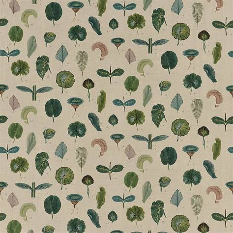 John Derian Picturebook II Fabrics A Leaf Study Fabric - Linen - FJD6017/01