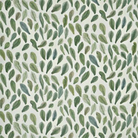 John Derian Picturebook II Fabrics Leaf Specimens Fabric - Thyme - FJD6018/01 - Image 1