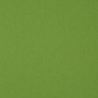 Lana Fabric - Lime Green