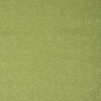 Delta Fabric - Lime