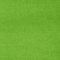 Omega Fabric - Apple Green
