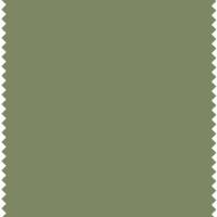 Colour Box Velvet Fabric - Olive Green