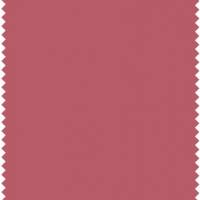 Colour Box Velvet Fabric - Rose