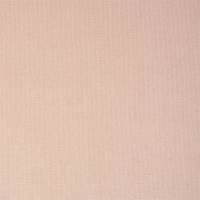 Plush Velvet Fabric - Powder
