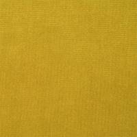 Plush Velvet Fabric - Saffron