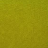 Plush Velvet Fabric - Lime
