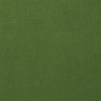 Plush Velvet Fabric - Forest