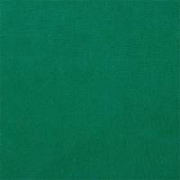 Plush Velvet Fabric - Emerald