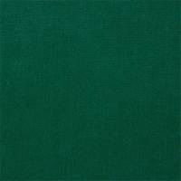 Plush Velvet Fabric - Bottle Green