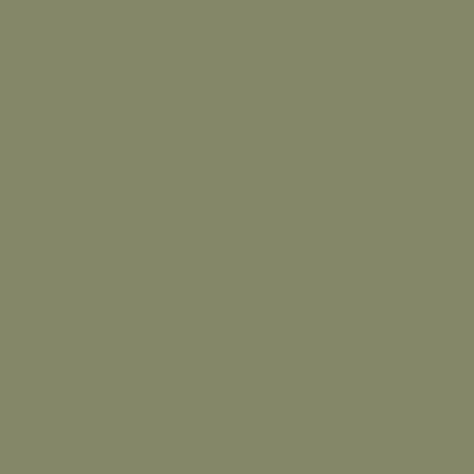 Sanderson Canopy Green Paint - Image 1