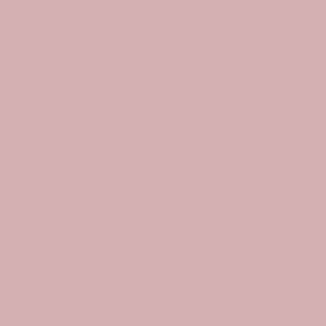 Sanderson French Rose Paint - Image 1