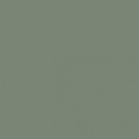Sanderson Gardenia Green Paint - Image 1