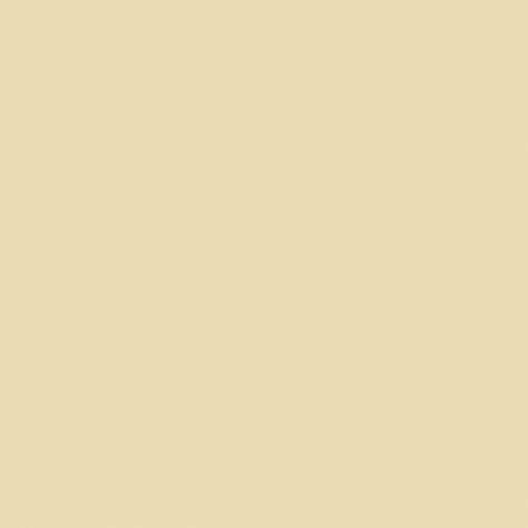 Sanderson Imperial Ivory Paint - Image 1