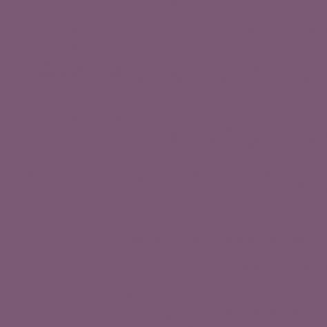 Sanderson Meadow Violet Paint - Image 1