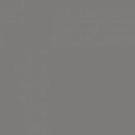 Sanderson Wren Feather Paint - Image 1