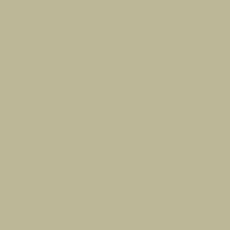 Zoffany Fennel Paint - Image 1