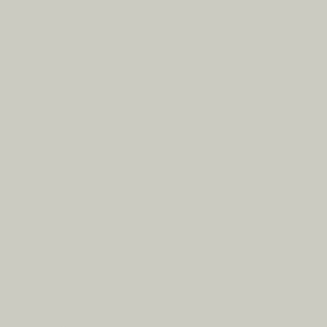 Zoffany Platinum Grey Paint - Image 1