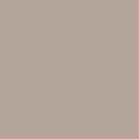 Zoffany Suede Paint - Image 1
